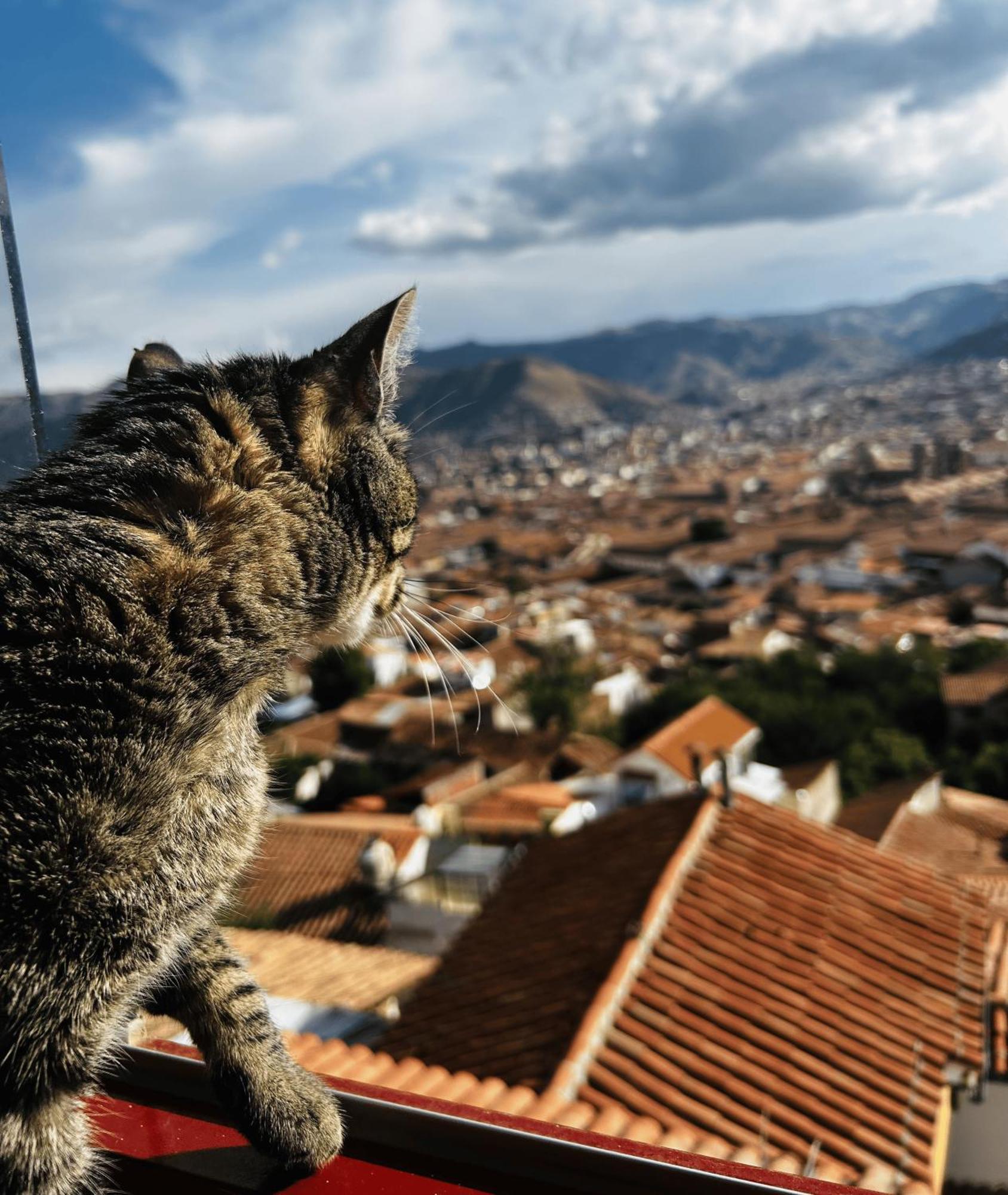 Summit Viewpoint House San Blas * Cuzco